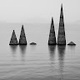 David Hammond