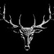 pine stag